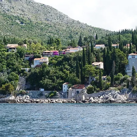 Oliva